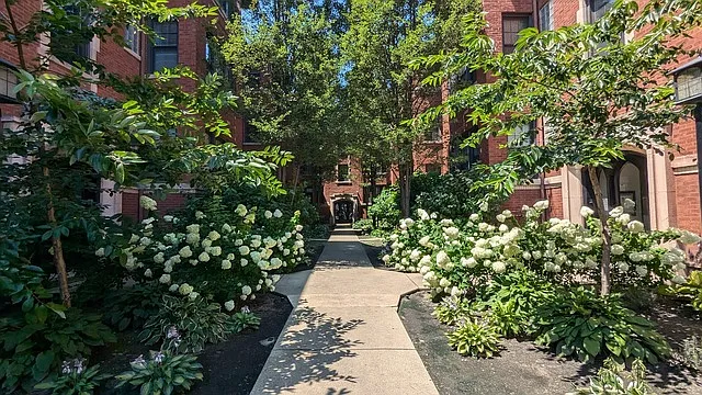 N Winthrop Ave, Chicago — Photo 2
