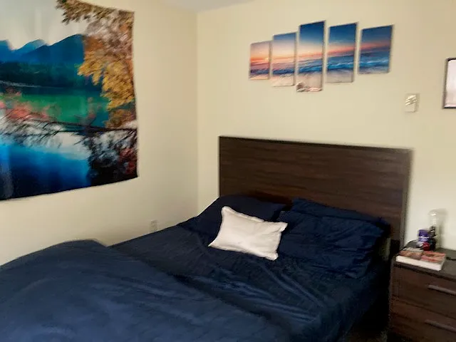 1 bed, 600 sqft, $1,225 — Photo 3
