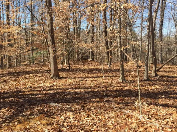 Jim Morris Rd, Fredericksburg, VA 22408