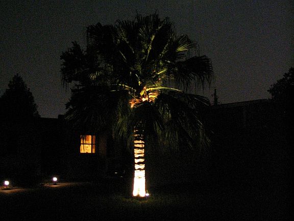 3rd image of 1850 Viburnum Ln
