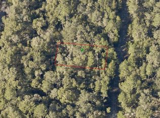 Wauchula Avenue Lot #6, De Leon Springs, FL 32130