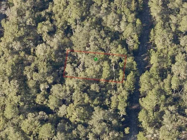 Wauchula Avenue Lot #6, De Leon Springs, FL 32130