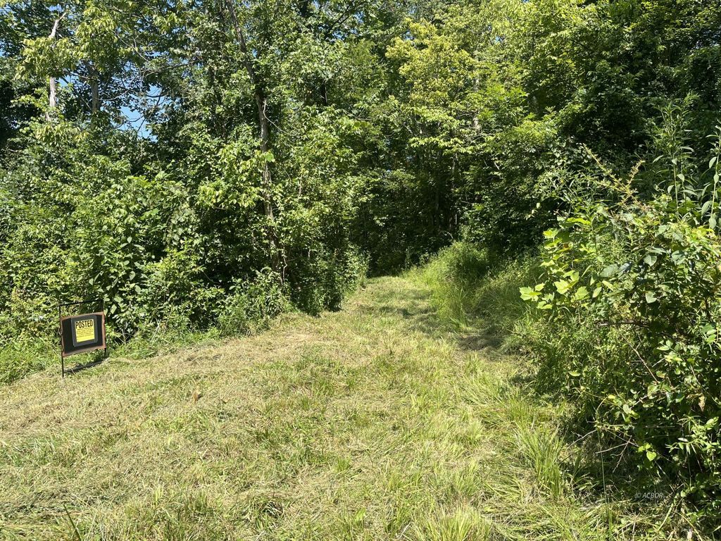 Real estate listing image