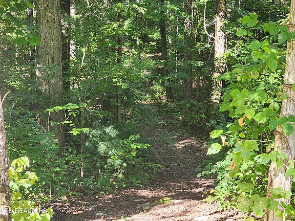 5th image of Cove Ln