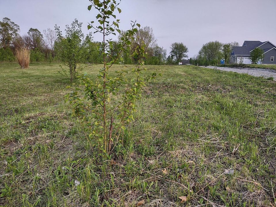 2nd image of 11 N 281 W