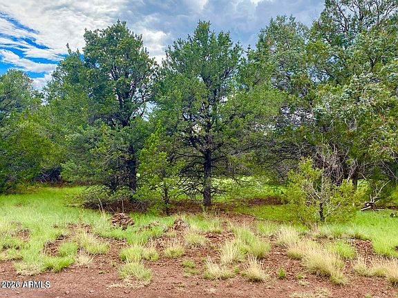 4th image of 6482 N Pinon Harvest Blvd