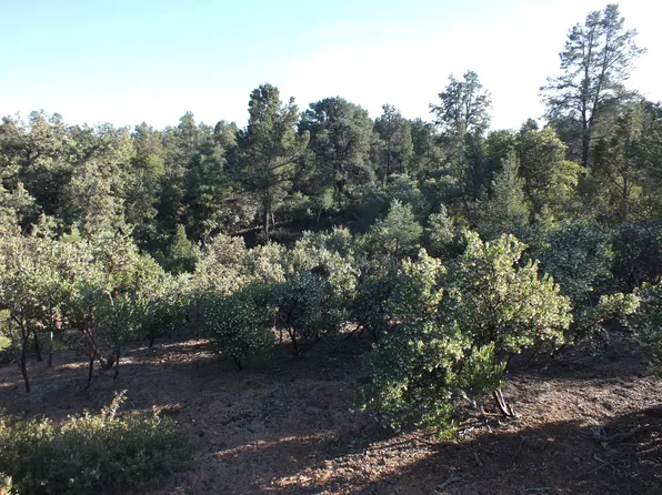 400 S Decision Pne, Pine, AZ 85541