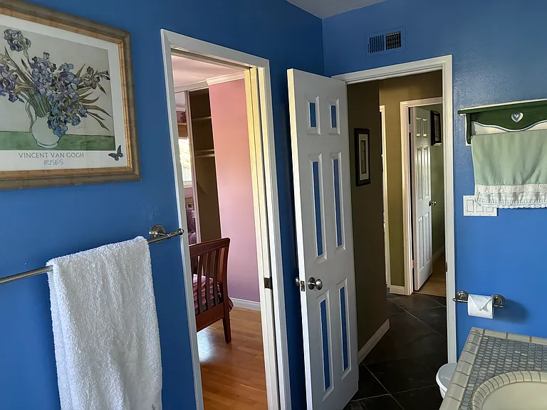 Mount Frissell Dr — Photo 19