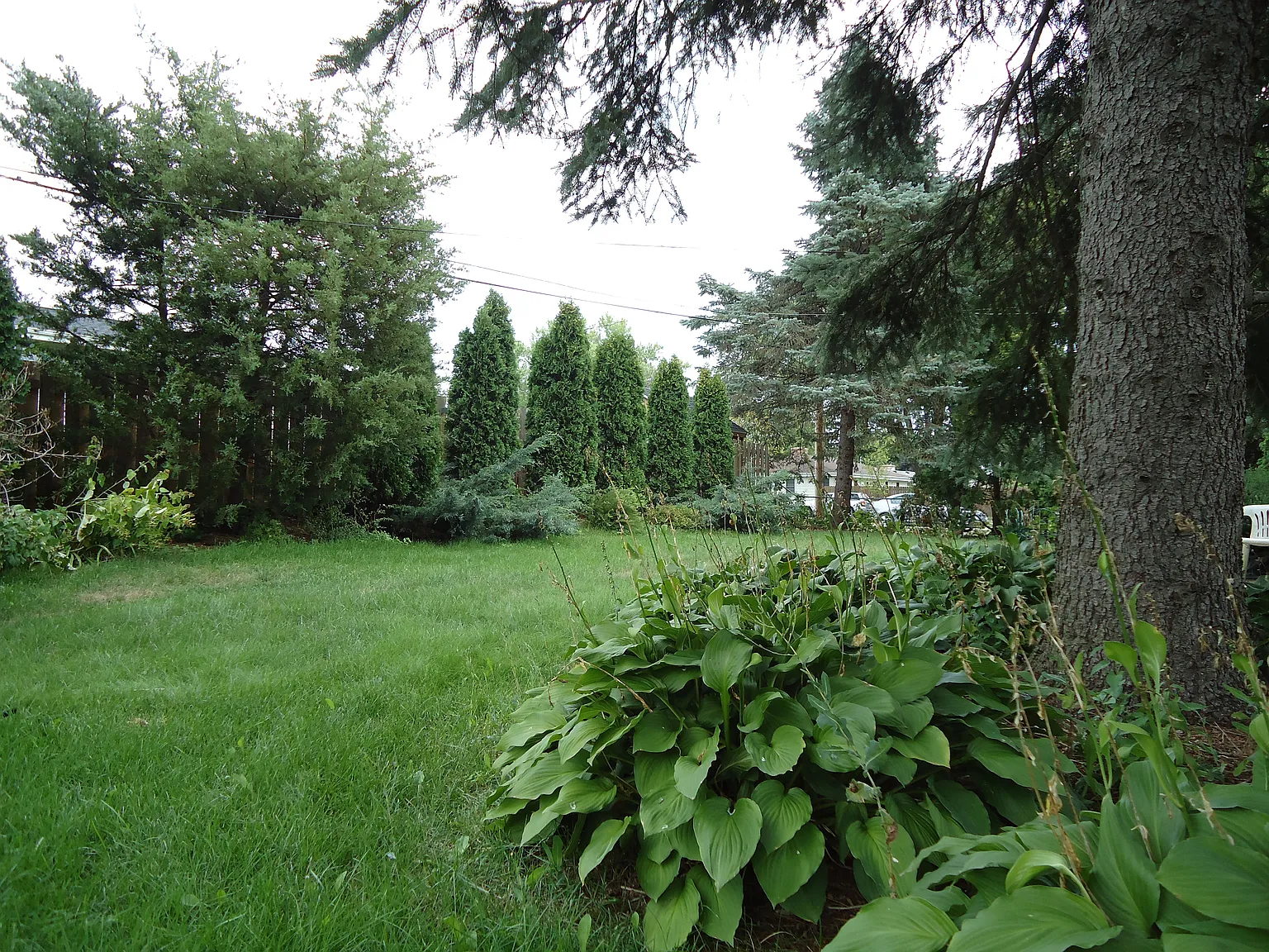 3 bed, 2470 sqft, $2,600 — Photo 3