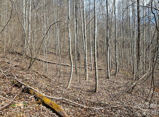 0 Woodfin Rd, Sylva, NC 28779