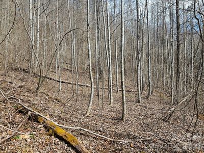 0 Woodfin Rd, Sylva, NC, 28779
