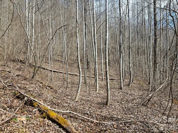 0 Woodfin Rd, Sylva, NC 28779