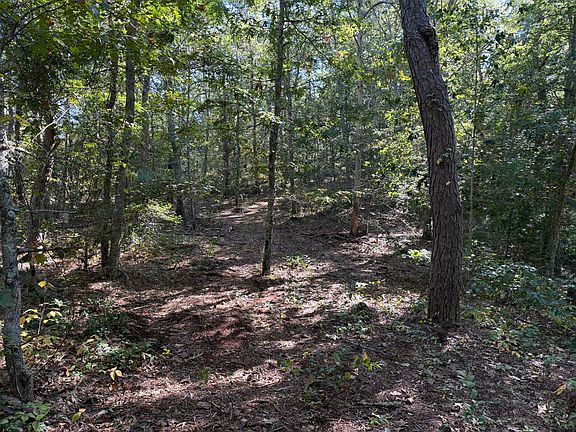 3rd image of 0 Old Long Pond Road