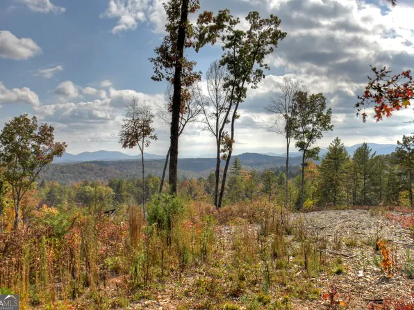 LOT 22 Mountain Laurel Dr, Mineral Bluff, GA 30559