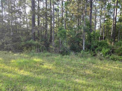 County Road 333 20 21 #22, Bristol, FL, 32321