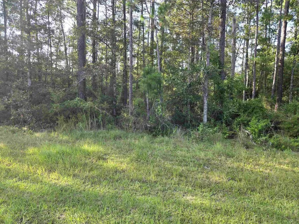 County Road 333 20 21 #22, Bristol, FL 32321