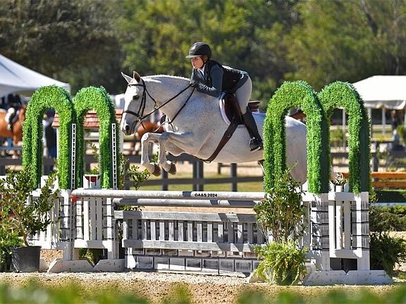 3rd image of 531 S Main St #330