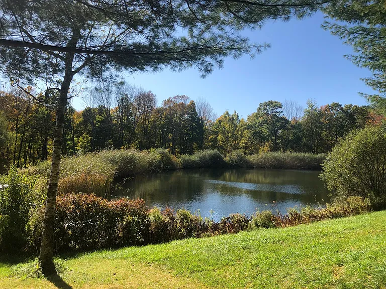 Great swimming pond and view from deck