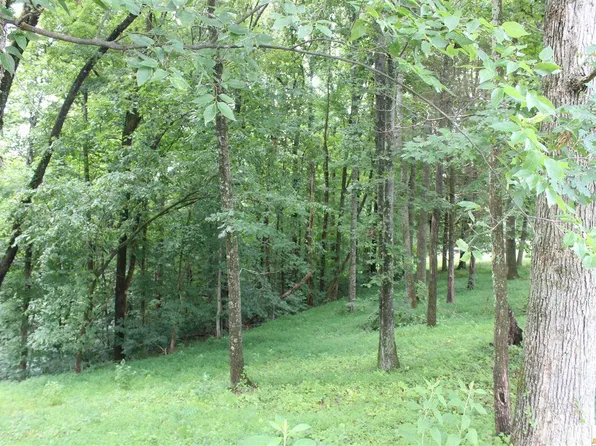 100 Cherokee Rd, Lucas, KY 42156