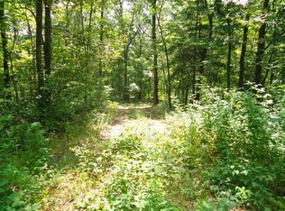 0 Scenic Ln, Blue Ridge, GA 30513