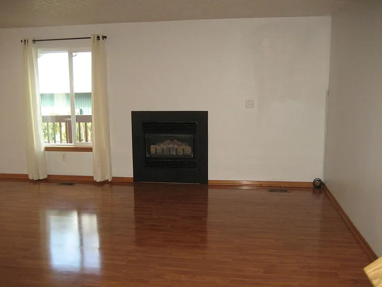 Gas fireplace