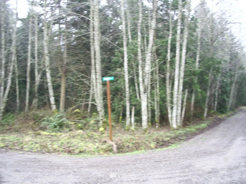 0 Lewis Avenue photo 1