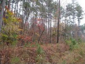 1001 High Trail Ct, Wake Forest, NC, 27587