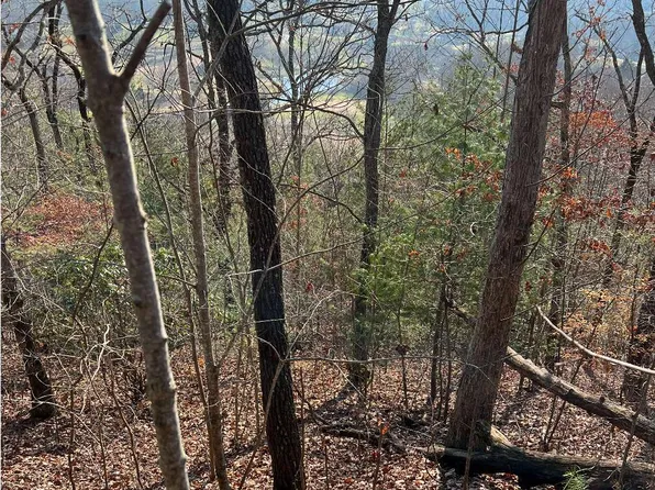 56C Indian Trl, Hayesville, NC 28904