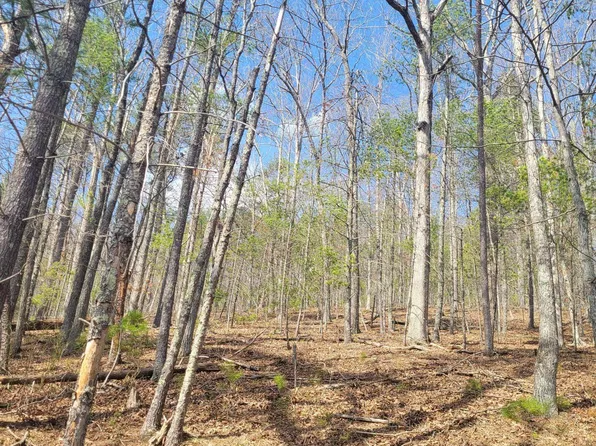 Tbd Little Creek Rd, Dublin, VA 24084