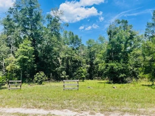 SW 70th Ave Lot 8, Bell, FL 32619