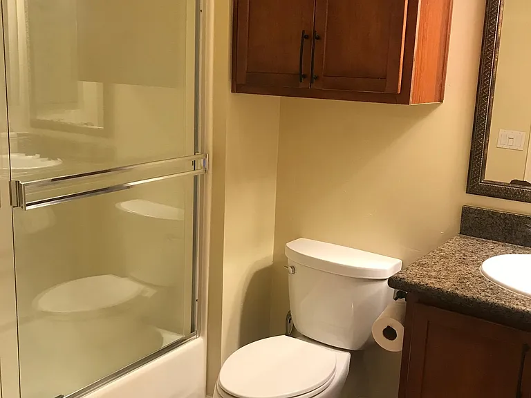 Bathroom with 2 storage cabinets, granite counter and shower