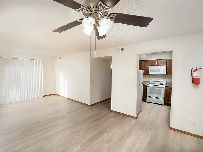 Living Area and Kitchen Entry
