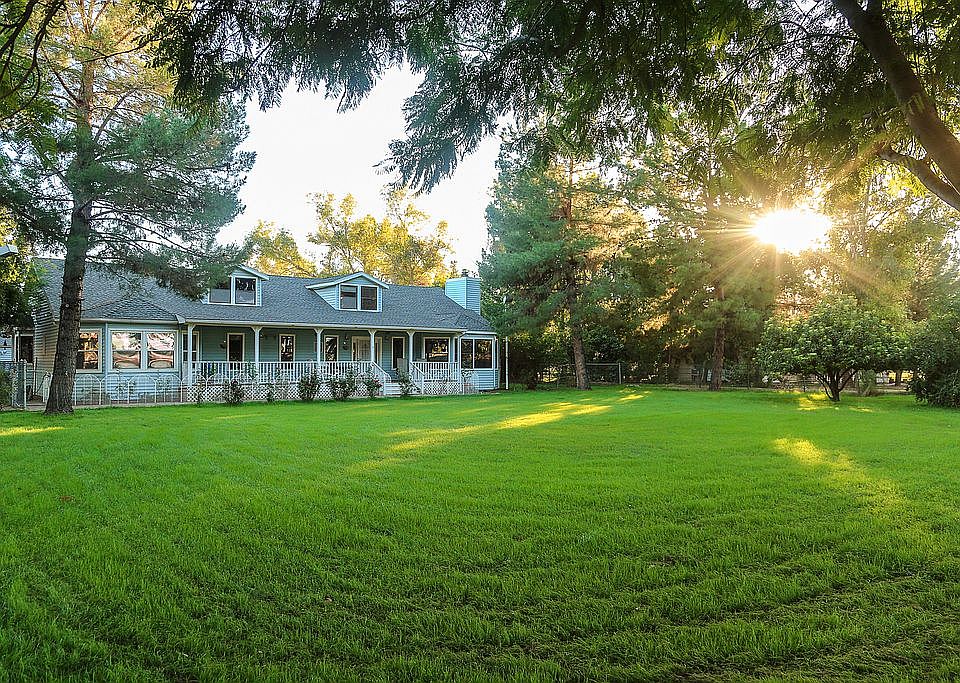 Many fruit trees in the yard