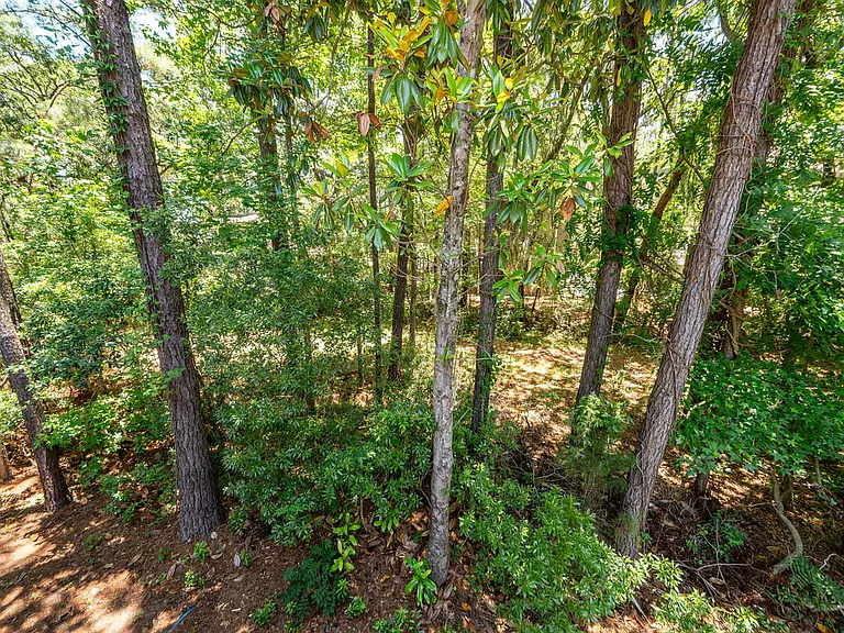 1412 Widows Ct — Photo 48