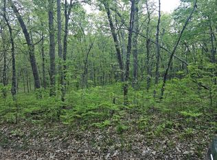 S Brooks Rd, Baldwin, MI 49304