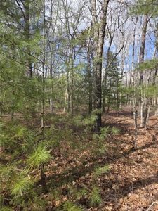 477 Plain Rd, West Greenwich, RI, 02817