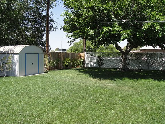 Back Yard!