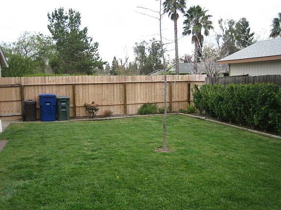 Back yard