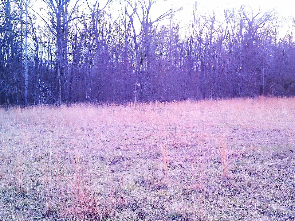 2nd image of 2955 South Rd