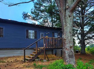 131 Bell St, Fyffe, AL 35971