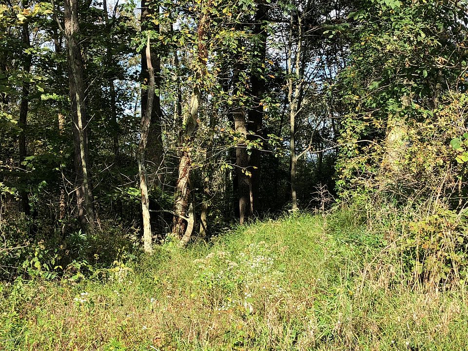 2nd image of Hogs Back Rd