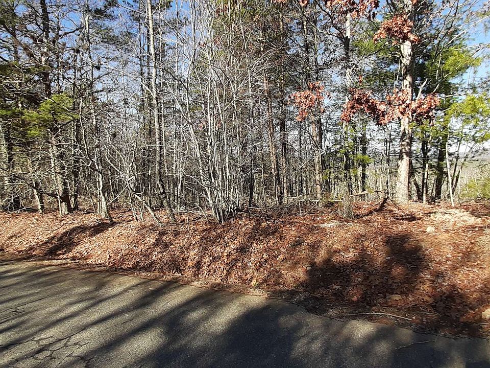 2nd image of Cinnamon Bear Rd