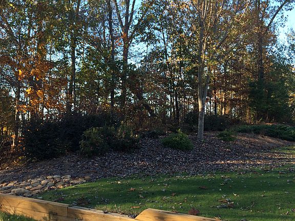 Back yard wooded lot