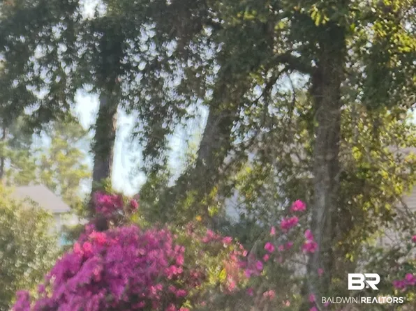 0 Armadillo Ave, Orange Beach, AL 36561