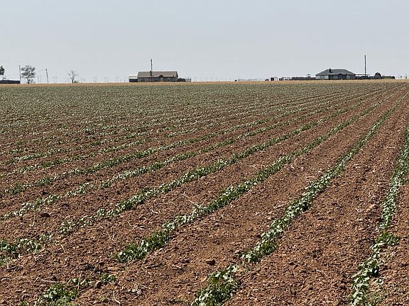 4th image of 3915 E Fm 1729