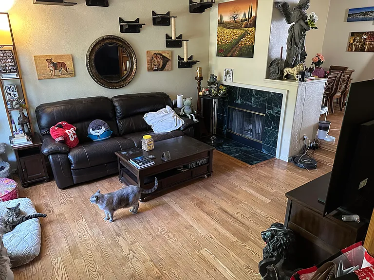 437 Camille Cir #14 — Photo 14