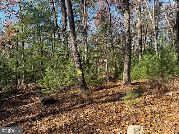 4th image of Laurel Dale Ct