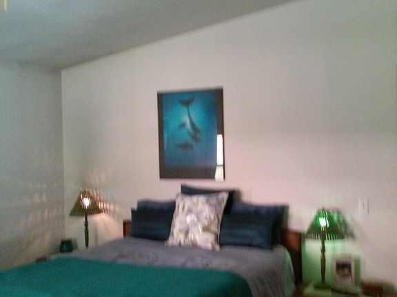 Master bedroom double window