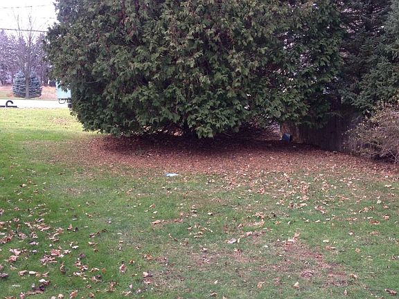 5th image of (Undisclosed Address)