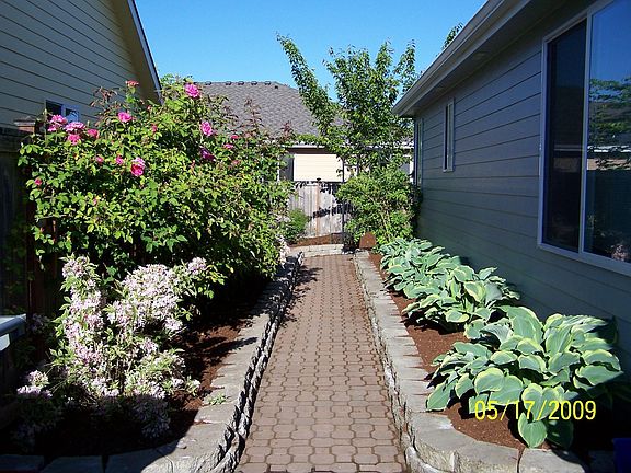 paver path/raised flowerbeds